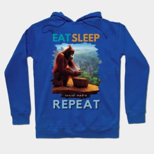 Eat, Sleep, Social Media, Repeat - funny Social Media addict print Hoodie